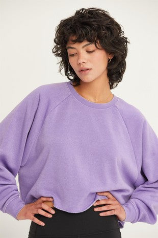 Double Zero Purple Sweatshirt Crop